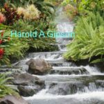 Harold A Gipson Sr