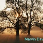 Marvin Davis